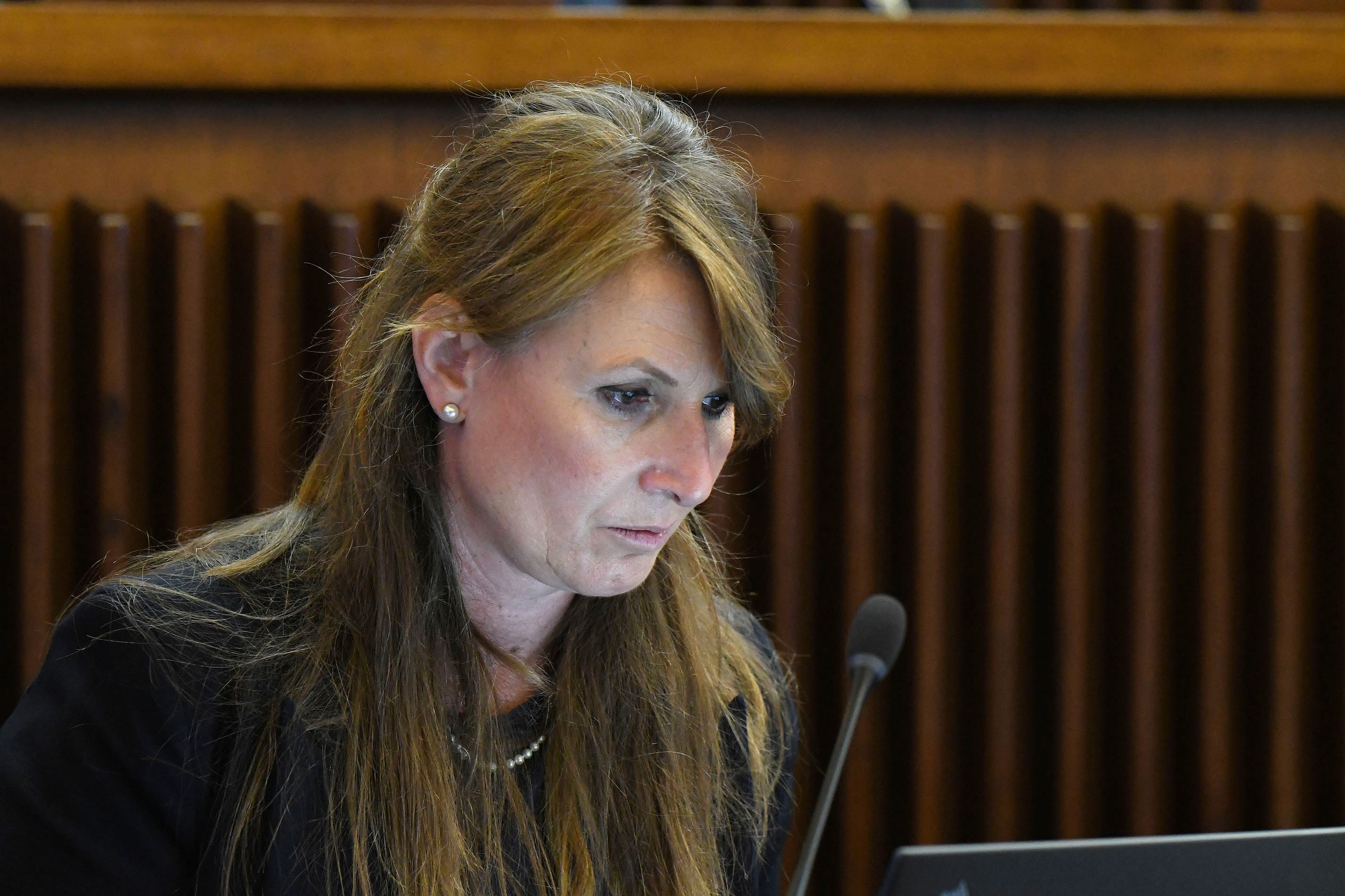 CASA/3. DISCUSSIONE GENERALE: POZZO-CAPOZZI-FASIOLO-HONSELL